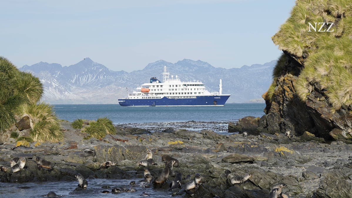 Drei Tote auf Kreuzfahrtschiff im Atlantik