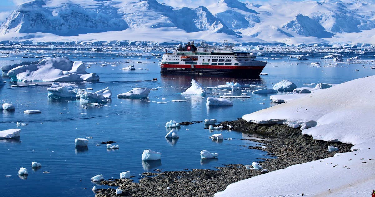 Touristenströme in der Antarktis alarmieren Wissenschaftler