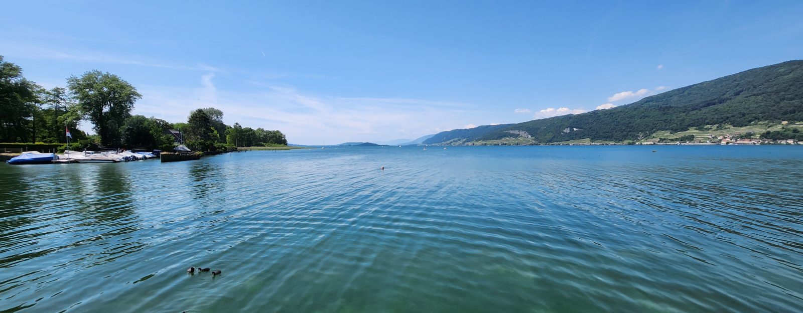 Bielerseeregion