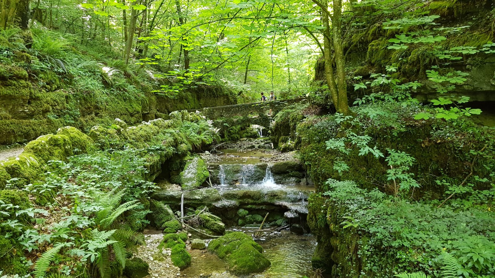 Verenaschlucht