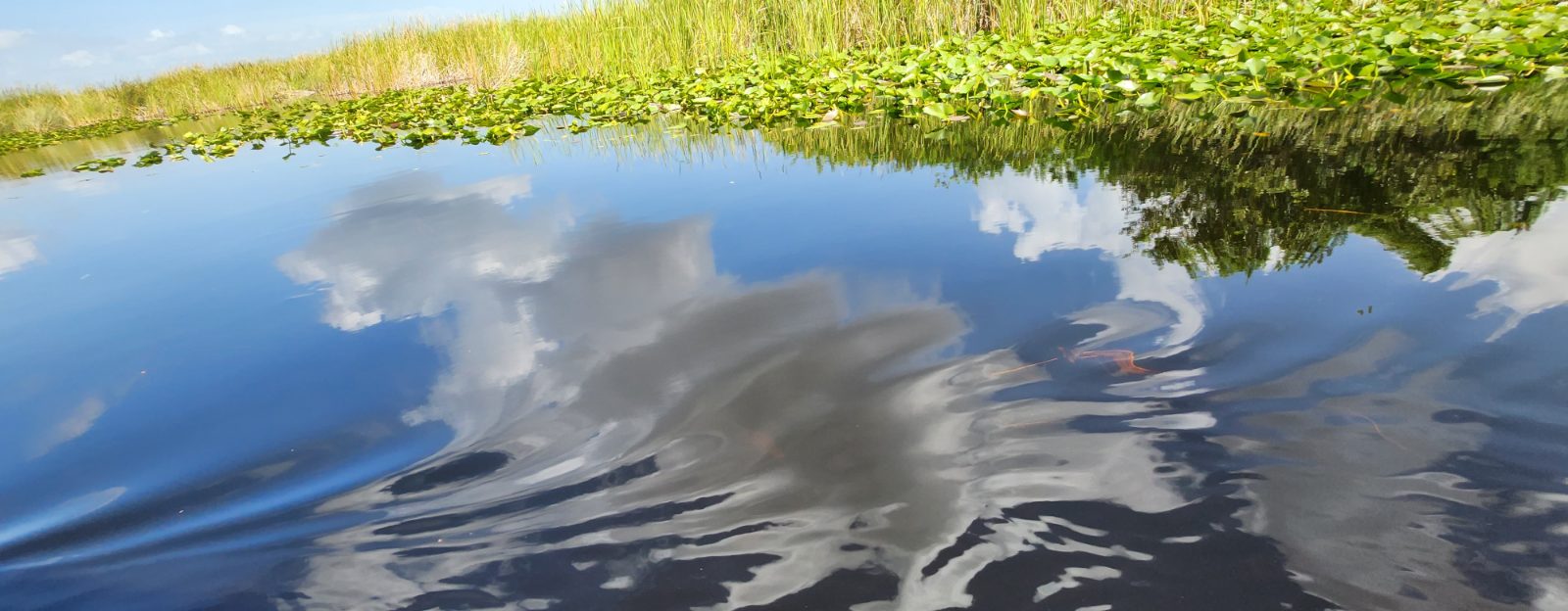 Everglades