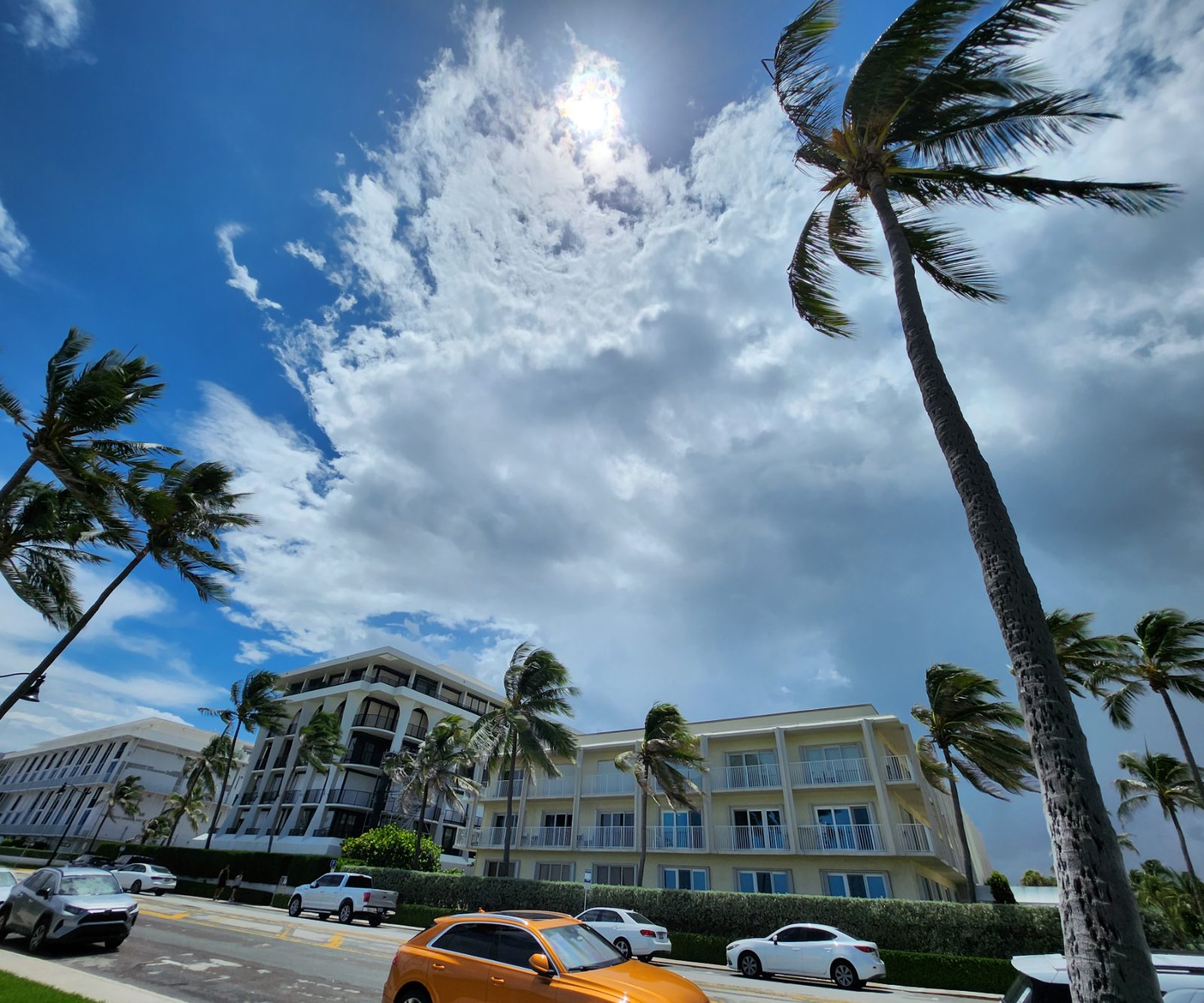 Palm Beach