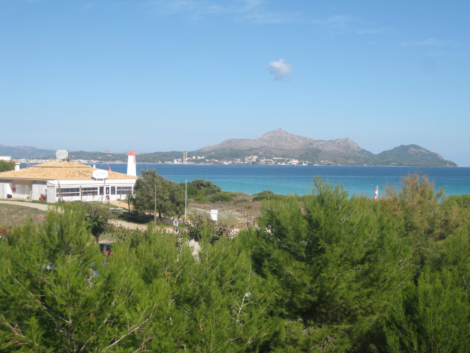 Alcudia