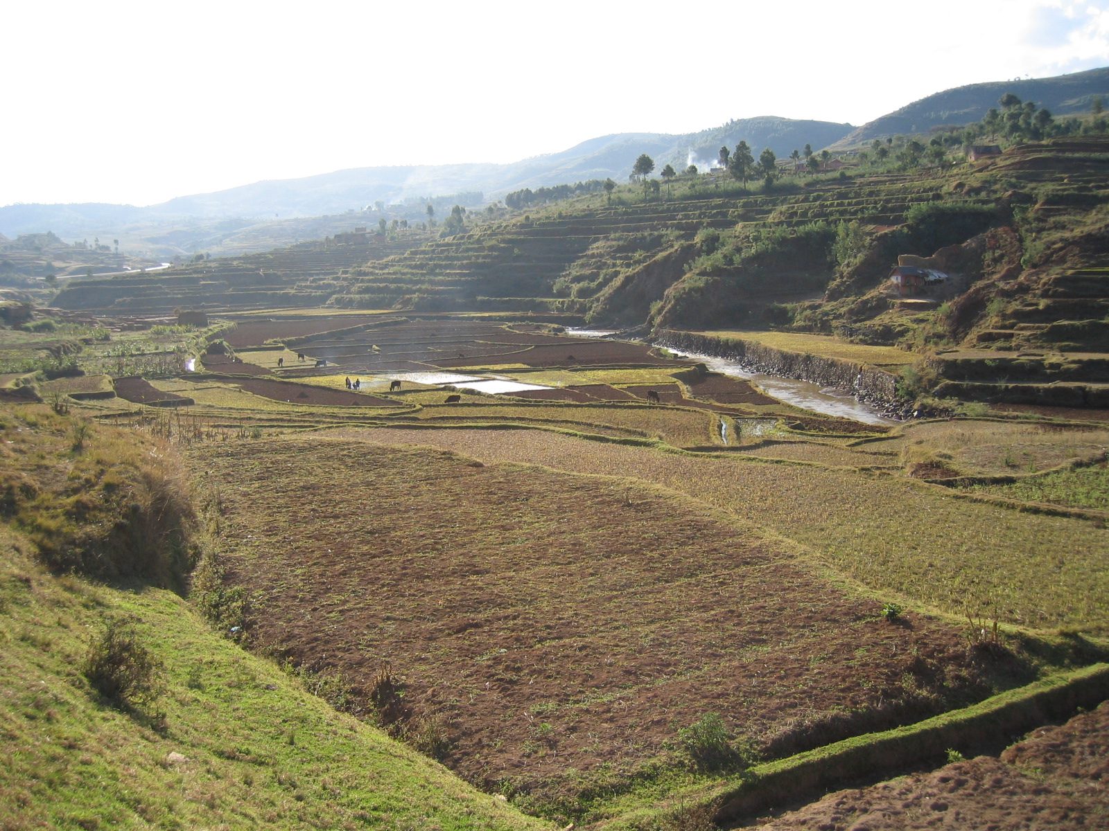 Madagaskar Bild 8