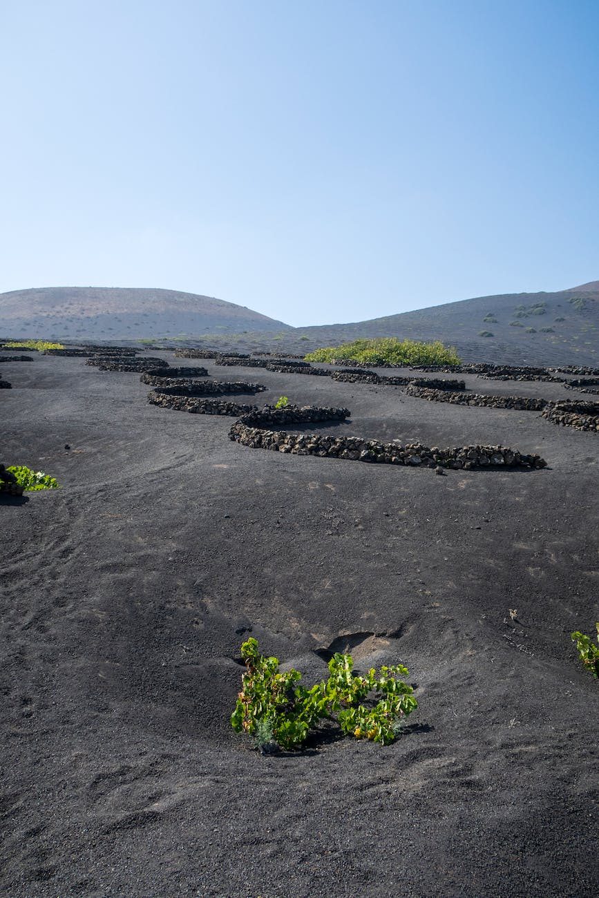 Lanzarote Bild 3