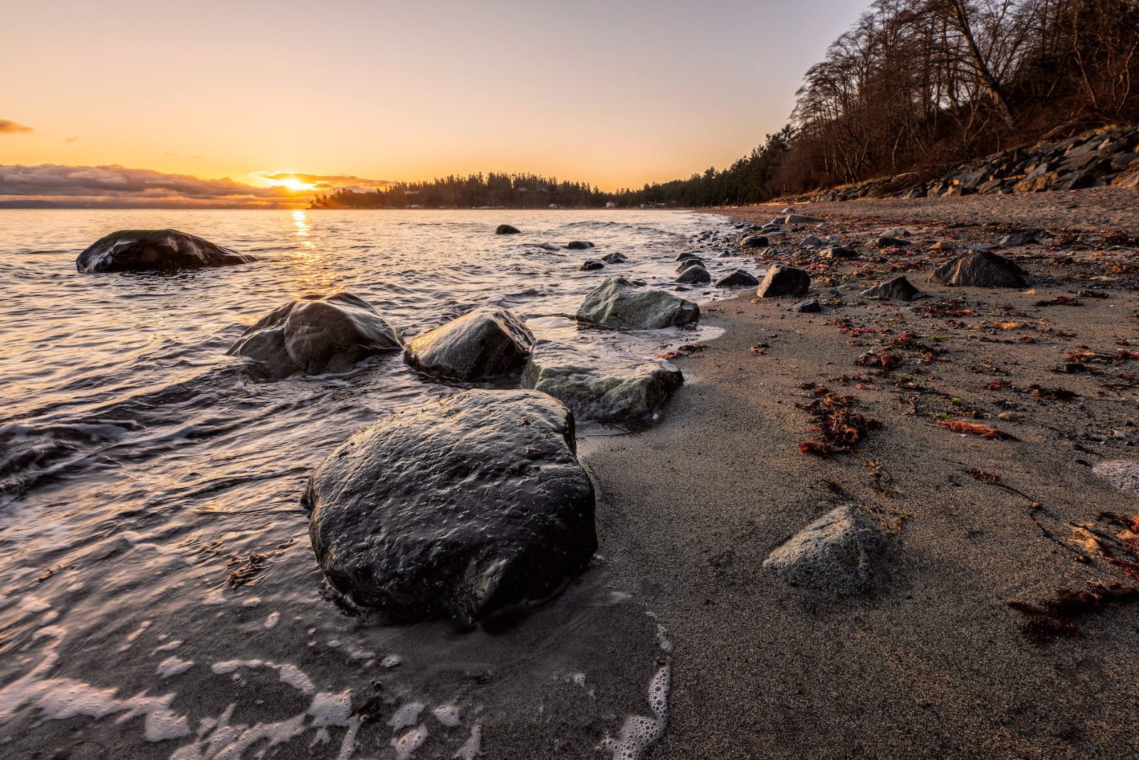 Vancouver Island Bild 3