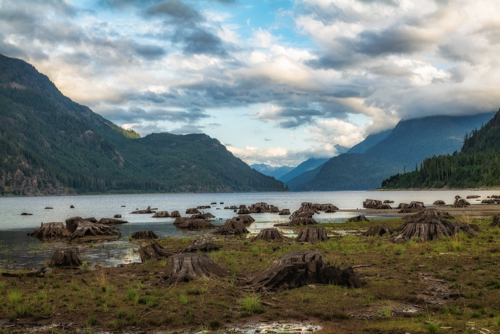 Vancouver Island Bild 1