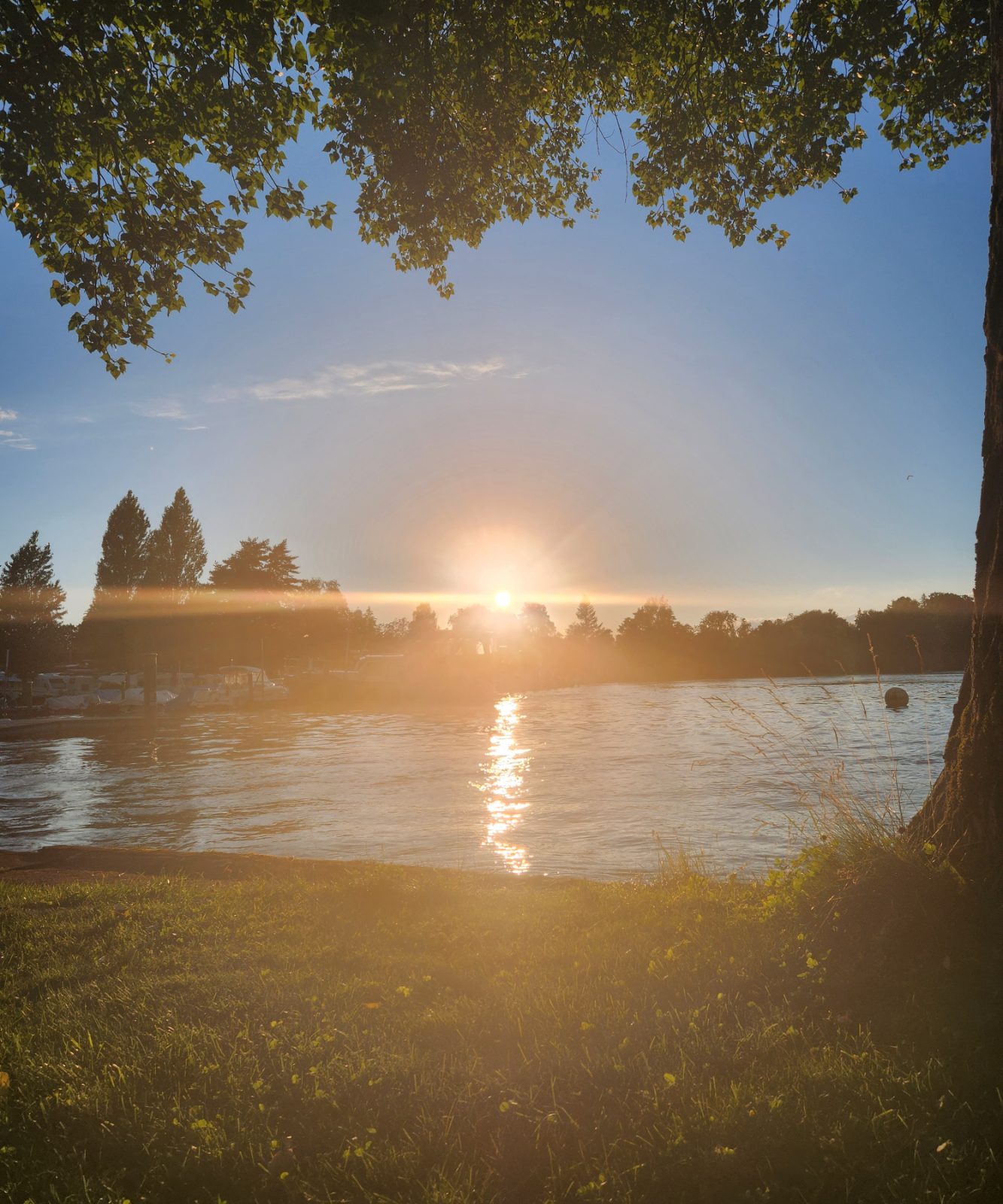 Wagenhausen Bild 6