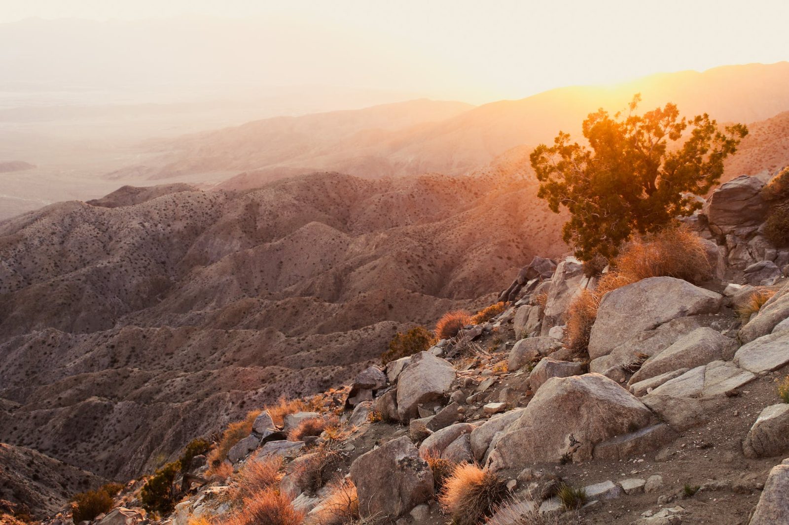 Joshua Tree National Park Bild 8