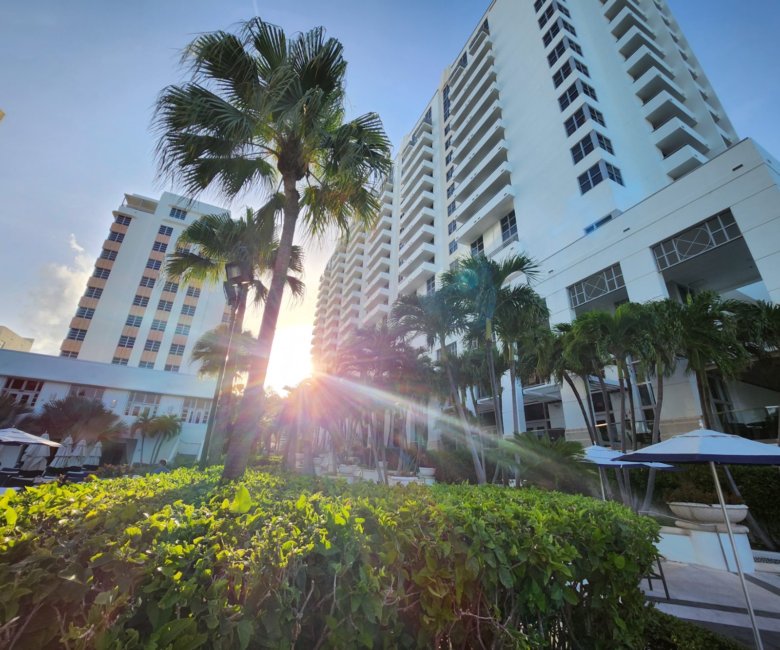 Loews Miami Beach Hotel Bild 11