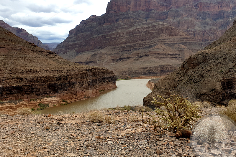 Grand Canyon Bild 1