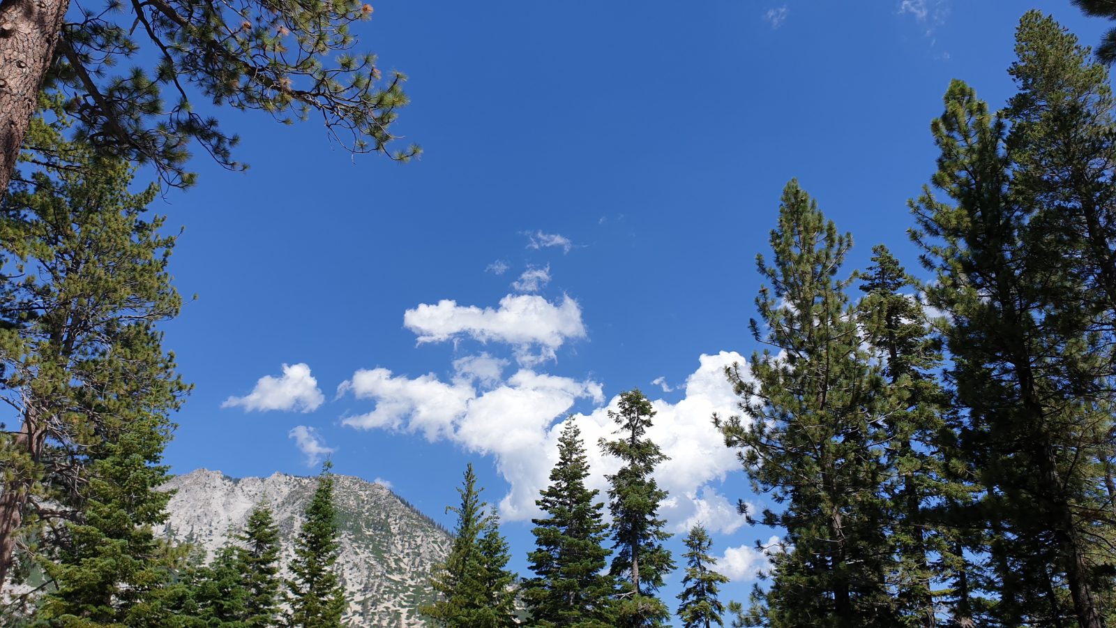 Lake Tahoe Bild 4