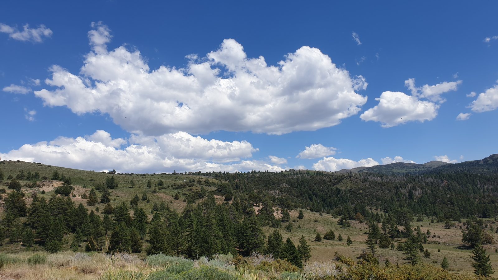 Lake Tahoe Bild 6